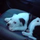 le gusta ir n coche!!